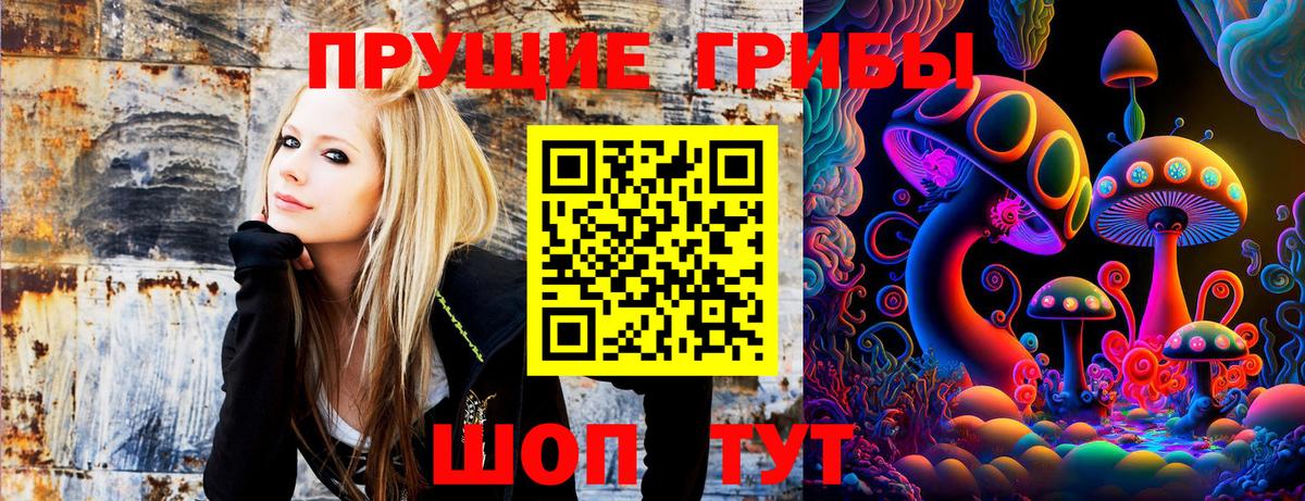 Кимовск  Псилоцибиновые грибы MAGIC MUSHROOMS  Галлюциногенные грибы Cubensis  Вход с VPN 